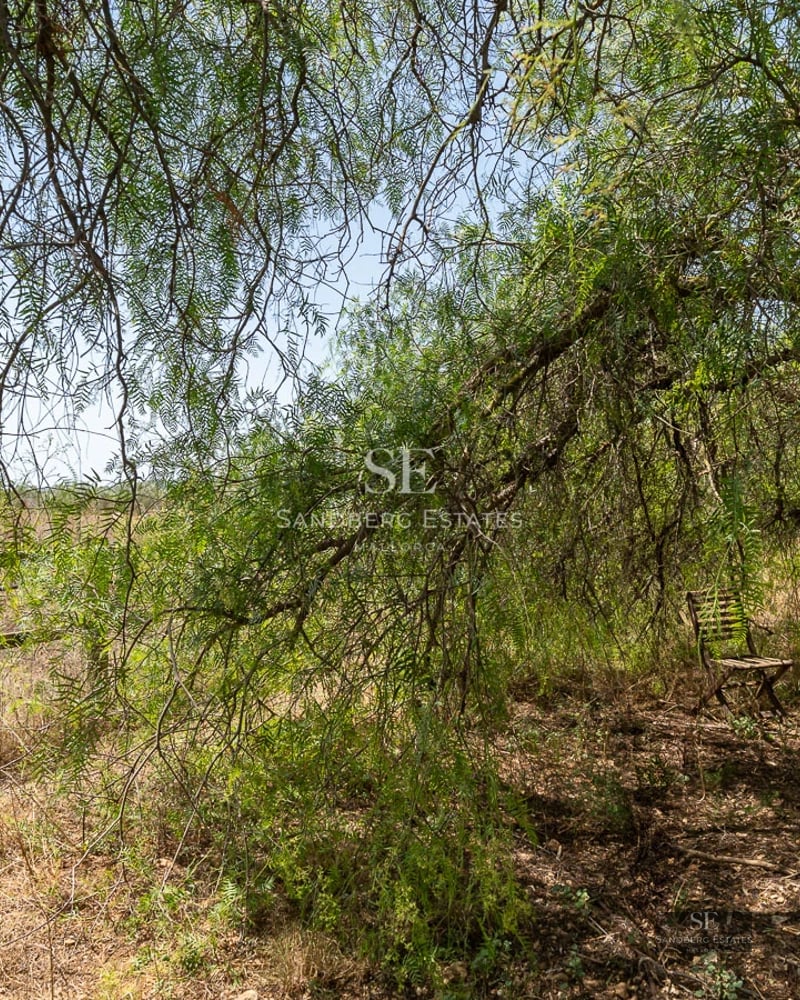 View of modern villa with infinity pool, sun loungers, garden, and large windows. Minimalist architecture, natural light.