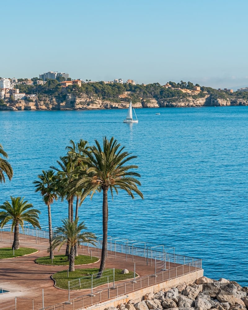 Pool deck with palm trees overlooking a blue sea with a sailboat and distant coast.