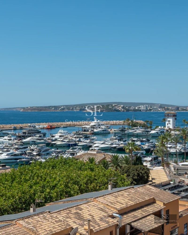 Exterior of modern villa featuring reflecting pool, expansive garden, and minimalist architecture. Warm ambient lighting.