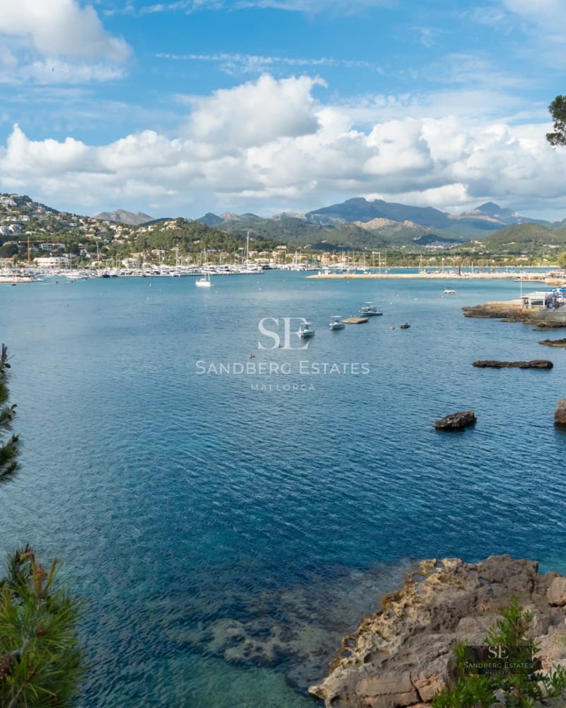 Exterior view of a modern house with a swimming pool, lush garden, and large windows. Minimalist design and natural light.