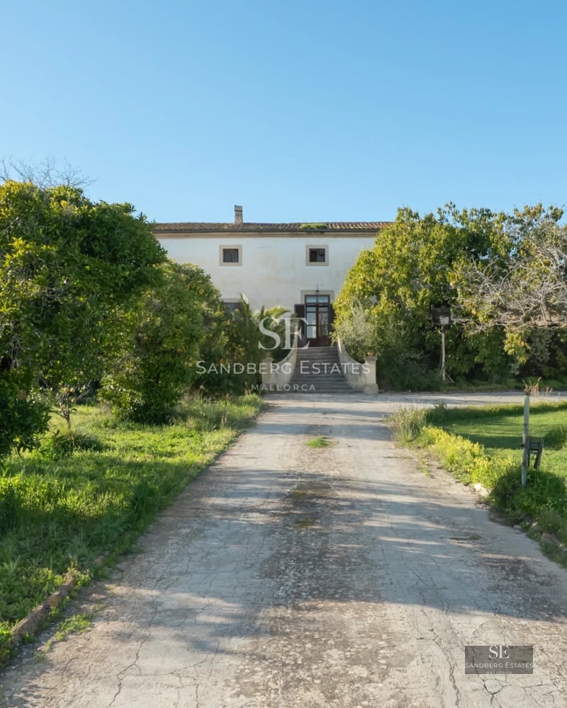 View of an infinity pool with sun loungers, lush greenery, and a modern house with large windows in the background.