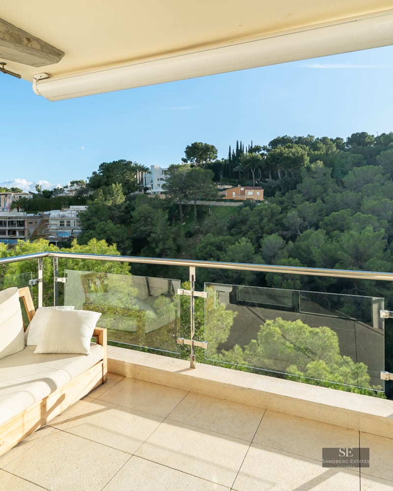 Modern wooden sofa on a sunny terrace with glass railings overlooking a lush green forest.