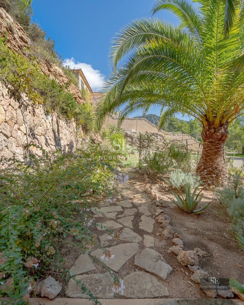 Exterior view of modern villa with pool. Minimalist architecture, large windows, and lush garden. Natural lighting.