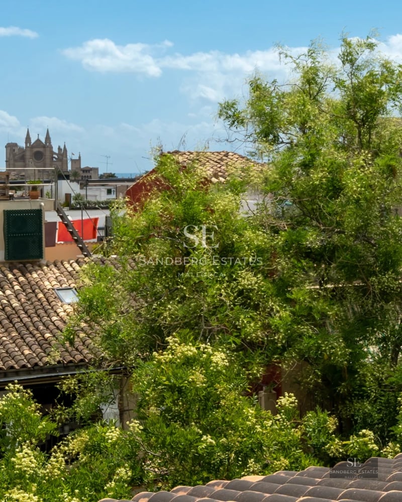 Spacious living room with floor-to-ceiling windows, designer sofas, textured rug and modern shelving. Natural light and exterior views.