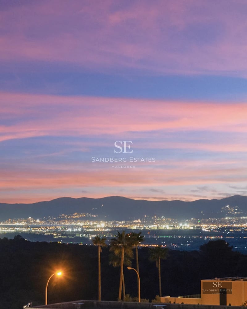 Aerial view of modern villa with infinity pool, spacious garden, terrace, and elegant, minimalist architectural design.