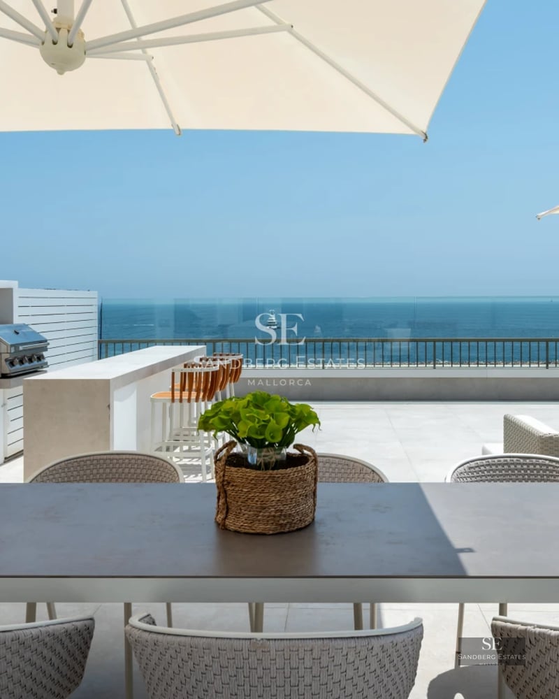 Bright living room with fireplace, leather sofas, windows and garden view. Modern design with elegant details and abundant natural light.