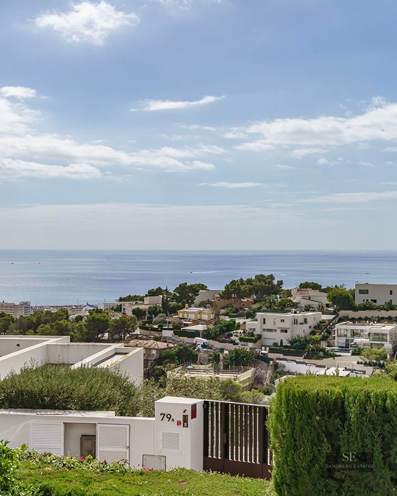 Wide-angle view of the blue sea and coastal villas under a bright sky with palm trees in the foreground.