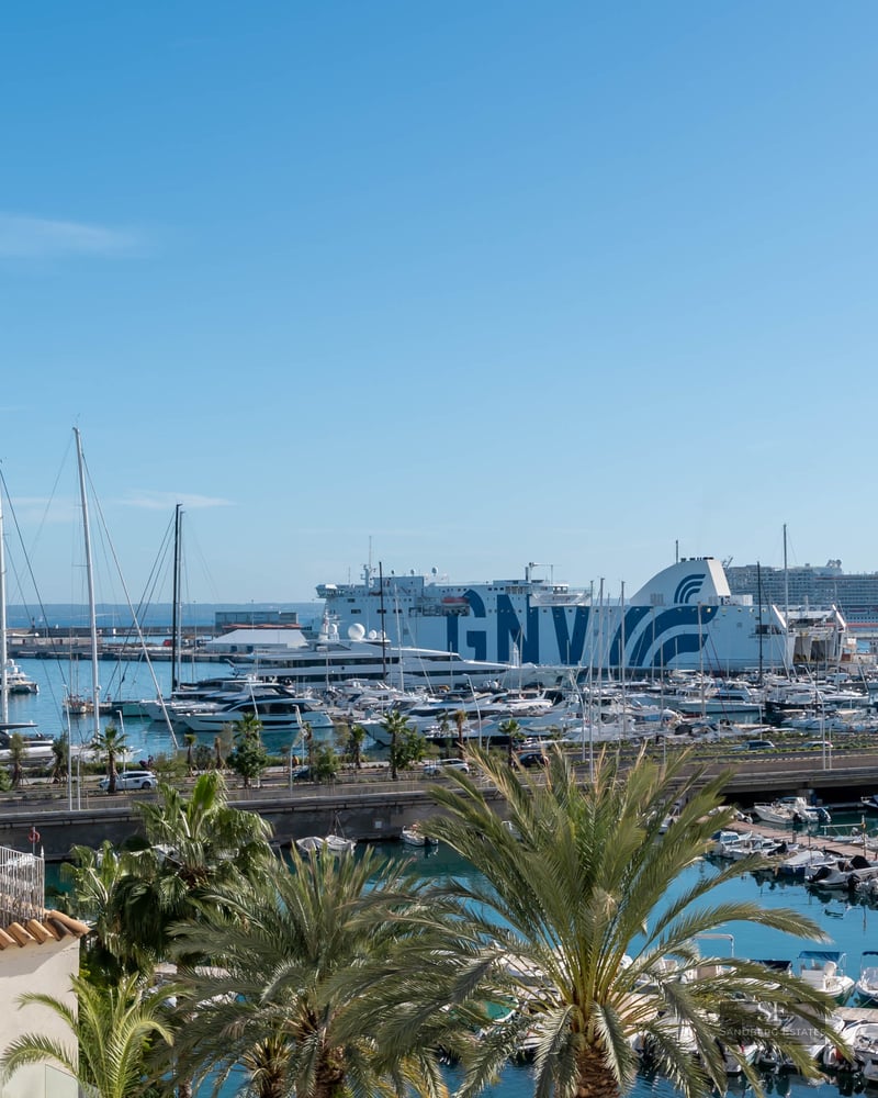 Wide view of a busy marina with yachts and a large ferry, framed by palm trees under a bright blue sky.