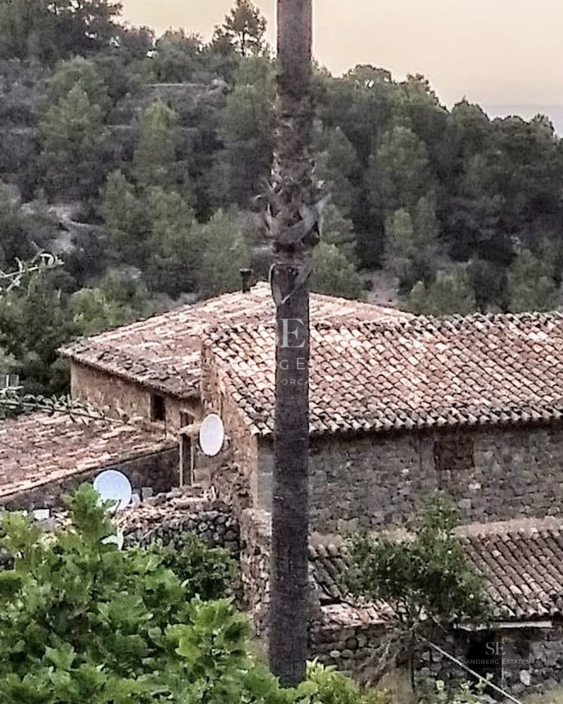Spacious pool surrounded by a wooden deck with sun loungers and umbrellas. Lush vegetation in the background. Modern and minimalist facade.
