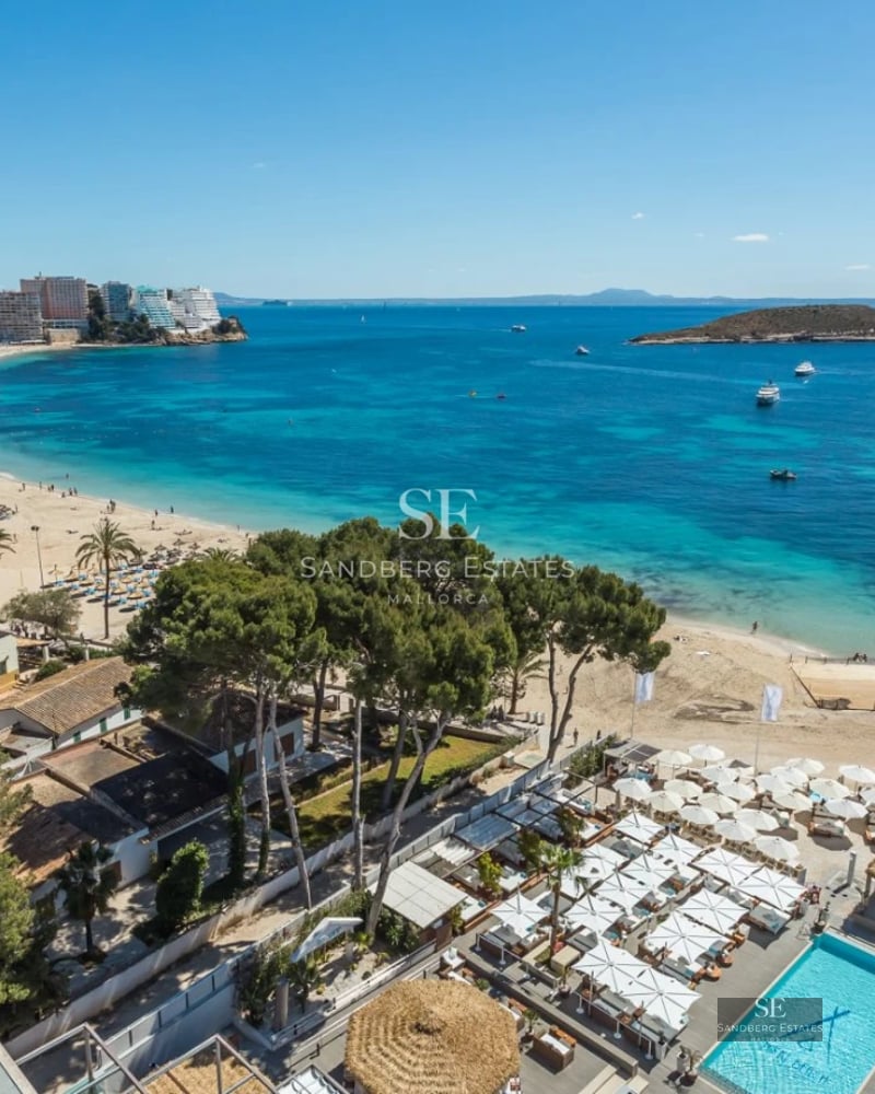 Spacious living room with fireplace, large windows, and terrace access. Minimalist design with natural light. Light wood floors.