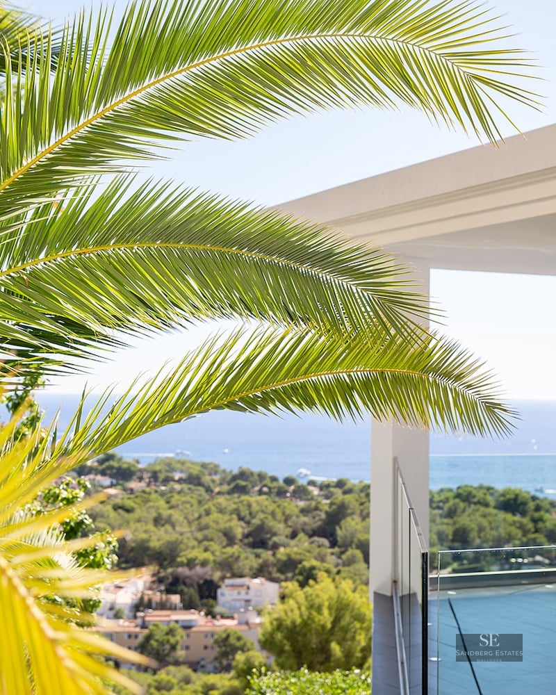 Vibrant palm fronds framing a white modern terrace with glass railings overlooking a lush valley and the blue sea.