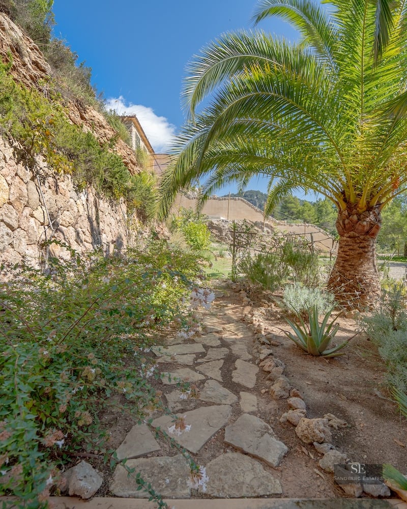 Rustic stone pathway in a Mediterranean garden featuring a large palm tree and a dry stone wall.