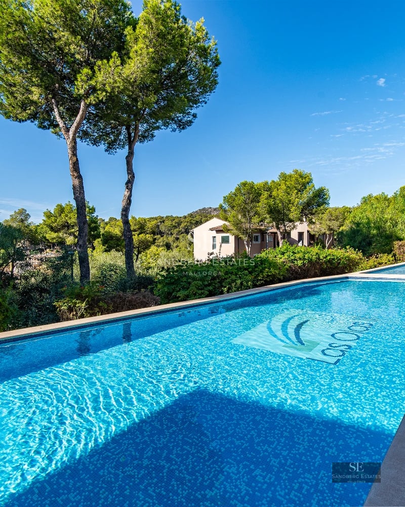 Exterior view of a modern villa with an infinity pool, large windows, and minimalist design. Lush garden and clear sky.