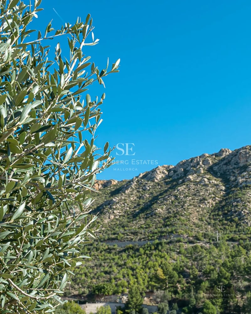 Panoramic view of the penthouse with infinity pool, sun terrace and modern furniture. Spectacular views of the ocean and blue sky.