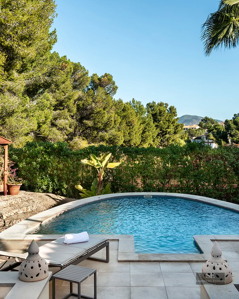 A curved swimming pool surrounded by a stone terrace, sun loungers, a wooden gazebo, and dense pine and palm trees.