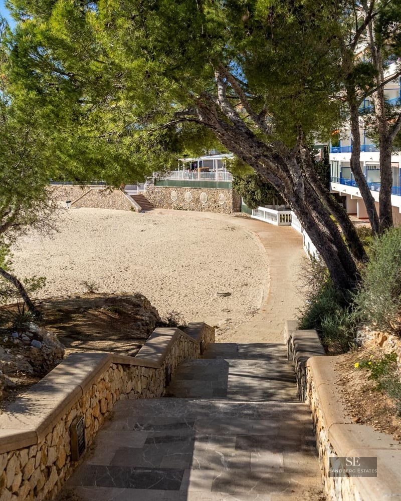 Stone stairs leading down to a sandy area, surrounded by pine trees next to a white apartment building.
