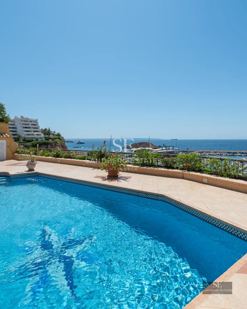 View of the pool and terrace of a modern villa with large windows and lush greenery. Elegant design and luxury finishes.