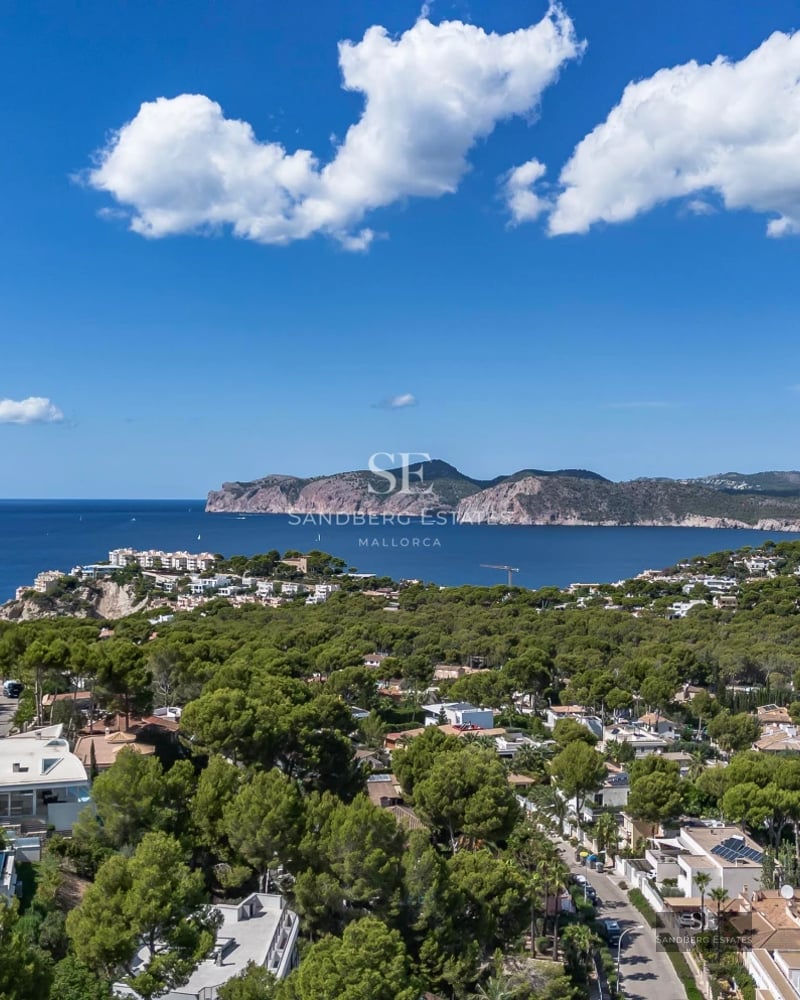 Exterior view of a modern house featuring a pool, garden, and large windows. Minimalist and elegant design.