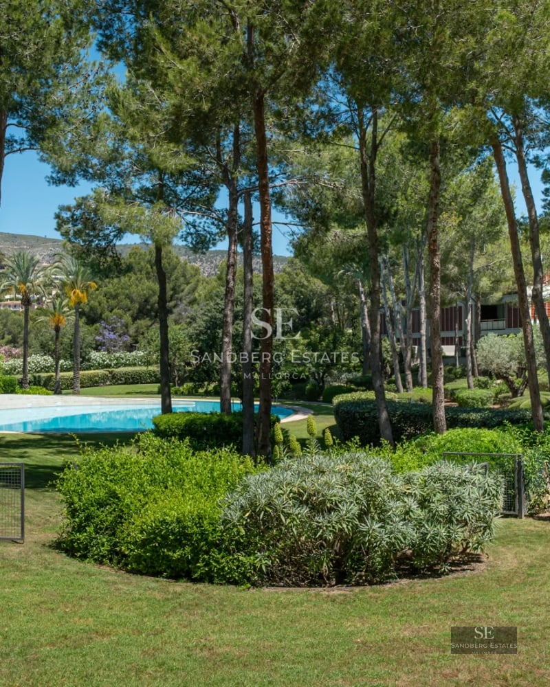 Bright living room featuring large windows, an infinity pool, and modern furniture. Panoramic view. Elegant and minimalist design.