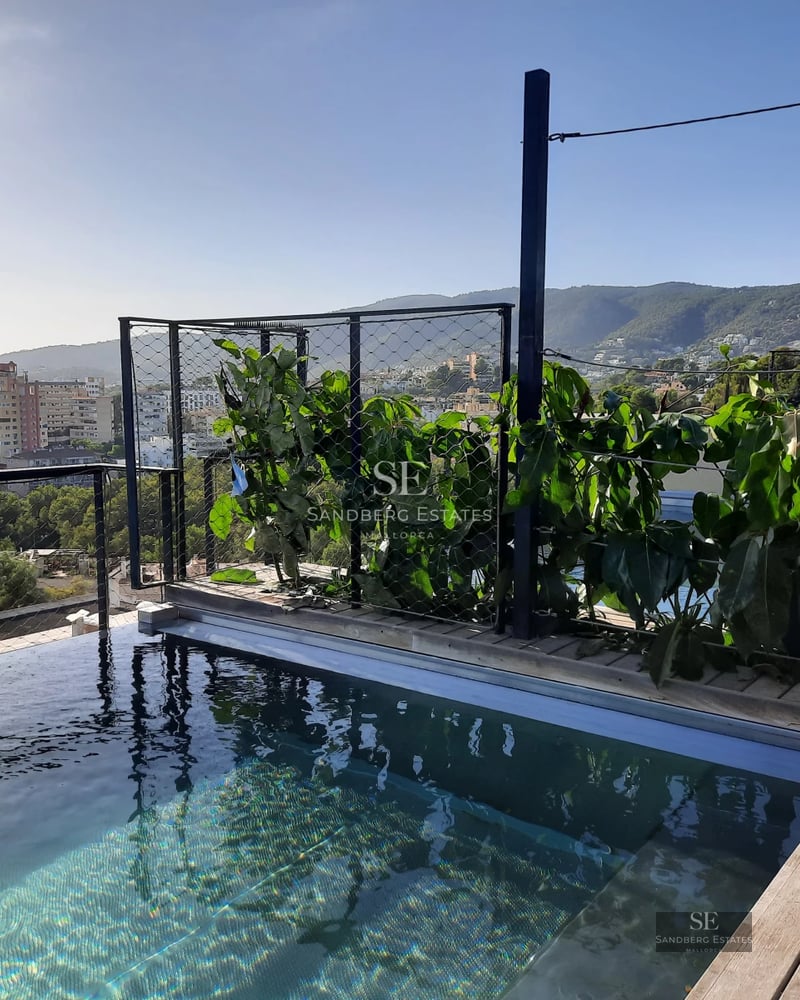 Exterior view of a modern house with a pool, large windows, and lush garden. Minimalist and elegant design with high-quality finishes.