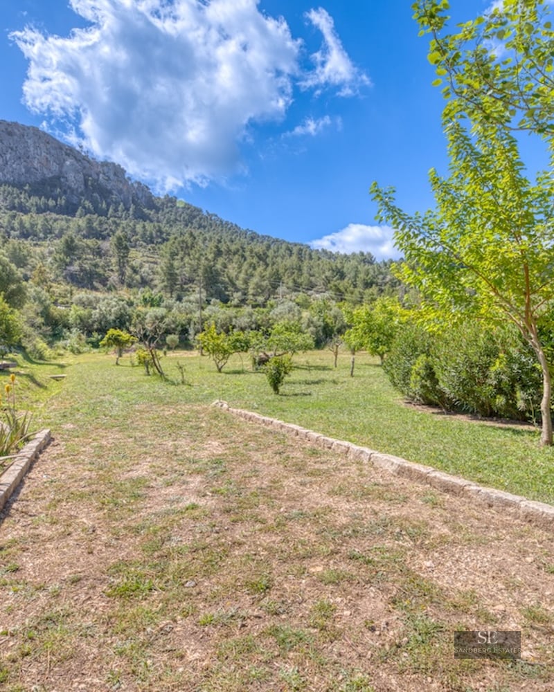 A sunny garden featuring stone pathways, lush greenery, aloe vera plants, and a large rocky mountain under a blue sky.