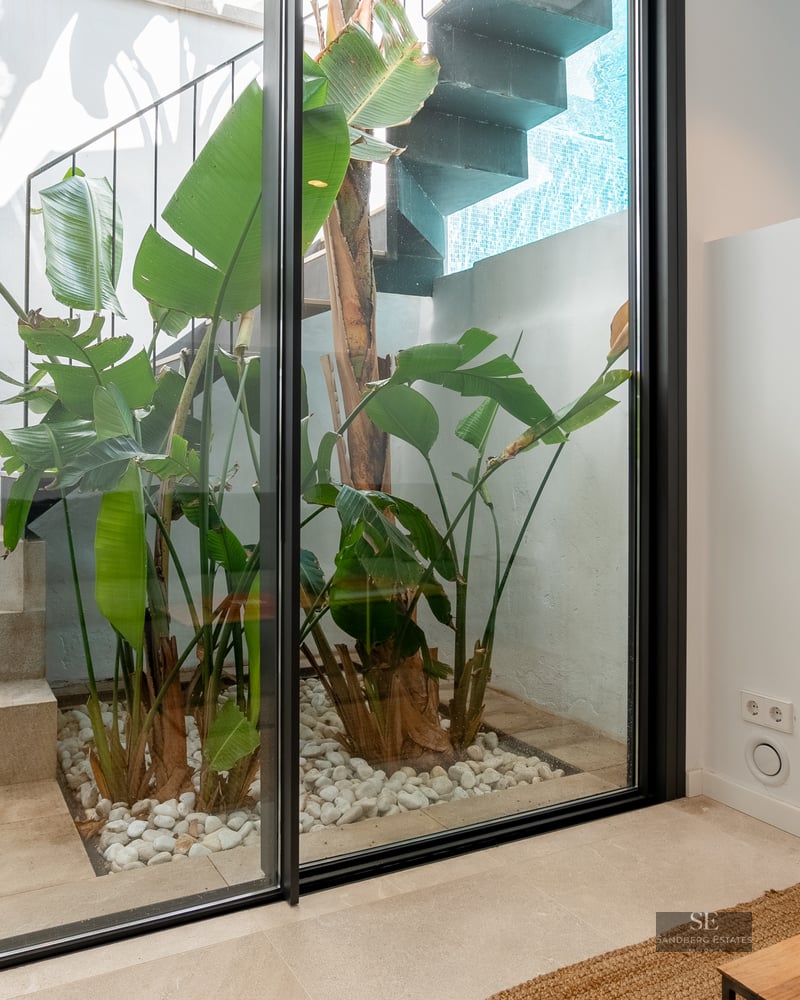 View through a glass door of an interior courtyard with concrete stairs and tropical plants in white pebbles.