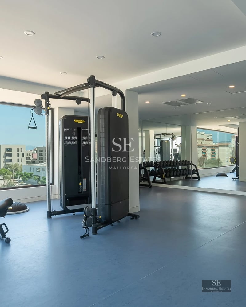 Spacious living room with panoramic sea view windows. Modern design, light wood floors, leather sofas, and designer coffee table.