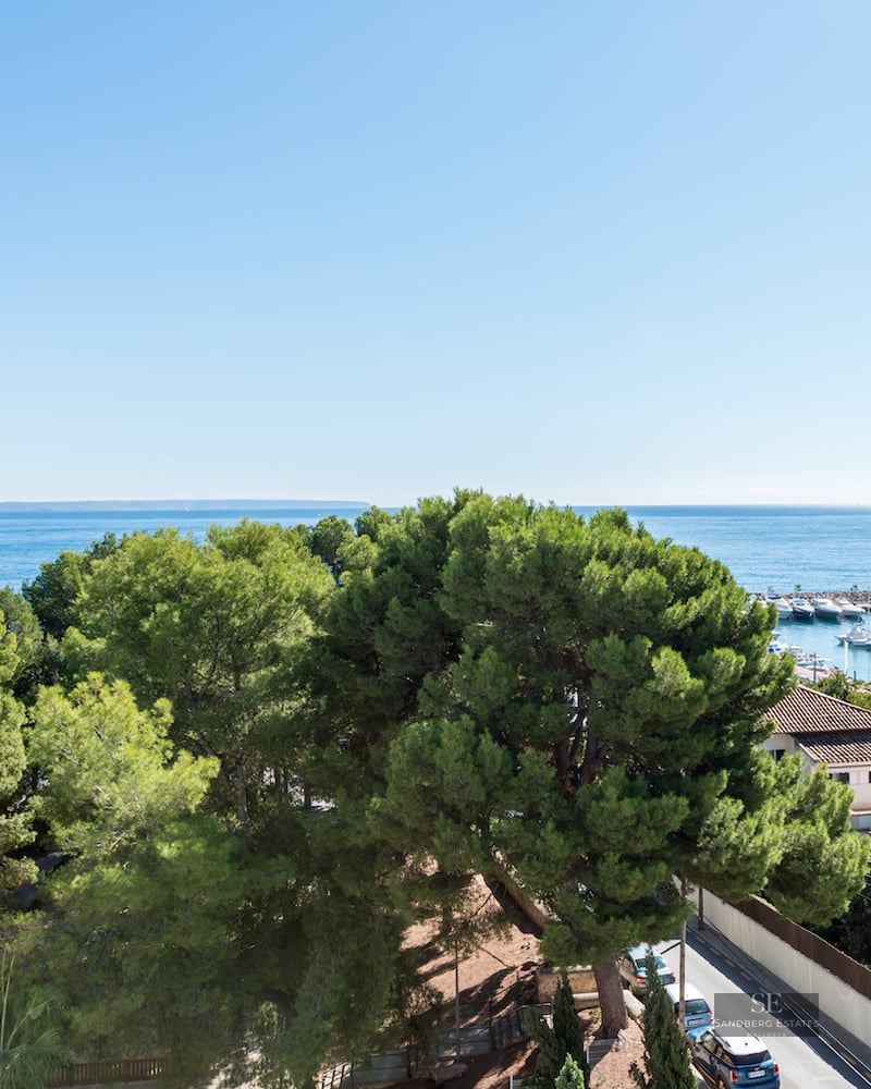 High-angle view of the blue Mediterranean sea, a marina with boats, and green pine trees under a clear sky.