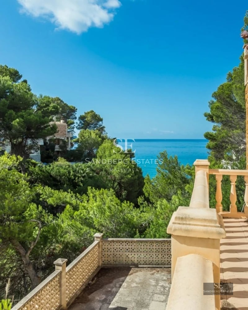 Exterior view of a modern house with a pool, well-kept garden, and large windows. Minimalist and elegant architecture.