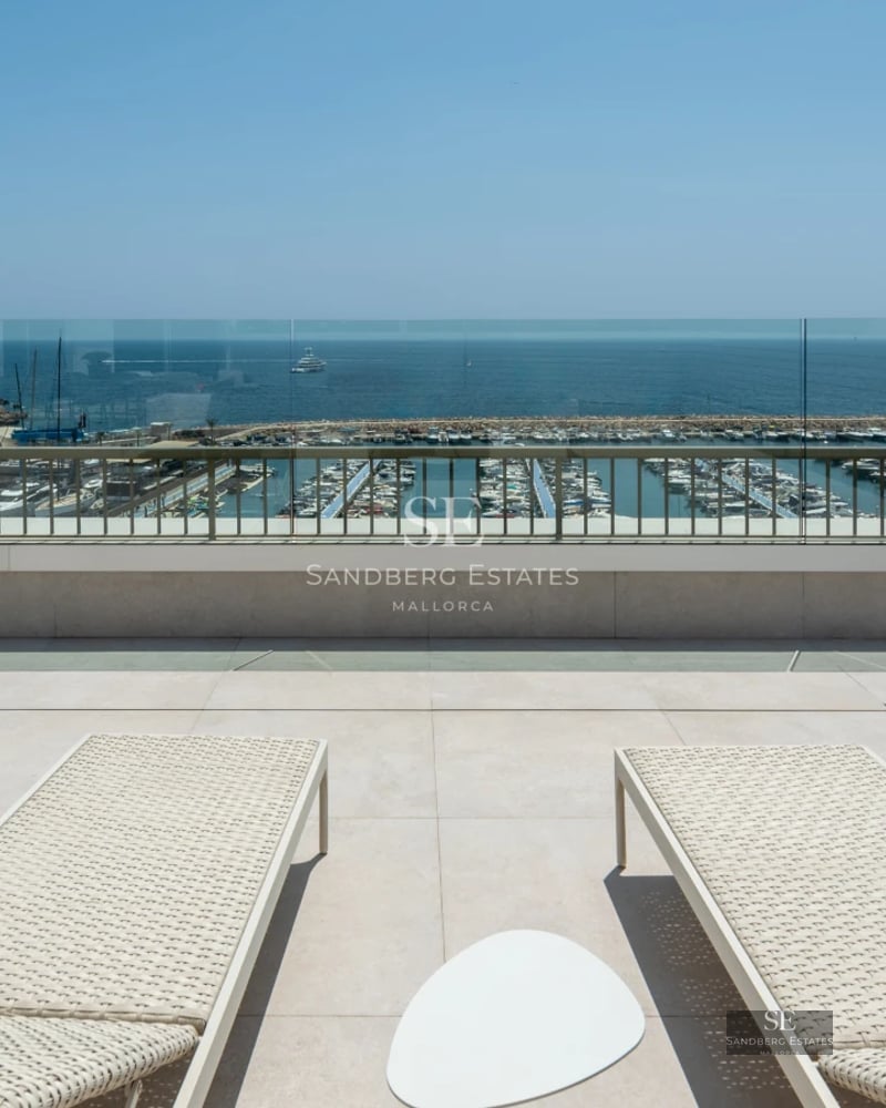 Pool view, terrace with sun loungers, palm trees and modern architecture. Impeccable lawn, ideal for relaxation. Contemporary design.