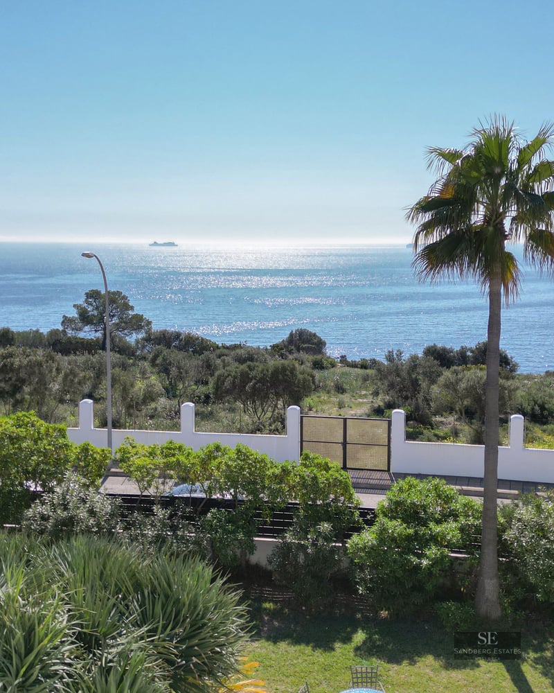 View of a sparkling blue sea and palm trees from a garden with a white wall and coastal cliffs in the distance.