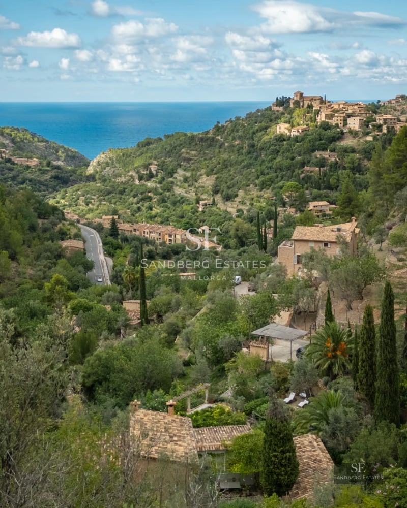 Spacious pool with wooden deck and view of lush garden. Modern and elegant design. Natural lighting. Luxurious details.