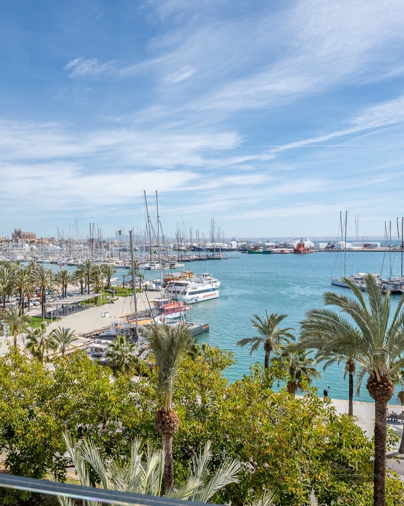 Panoramic view of a Mediterranean harbor filled with yachts and palm trees with a historic cathedral in the distance.