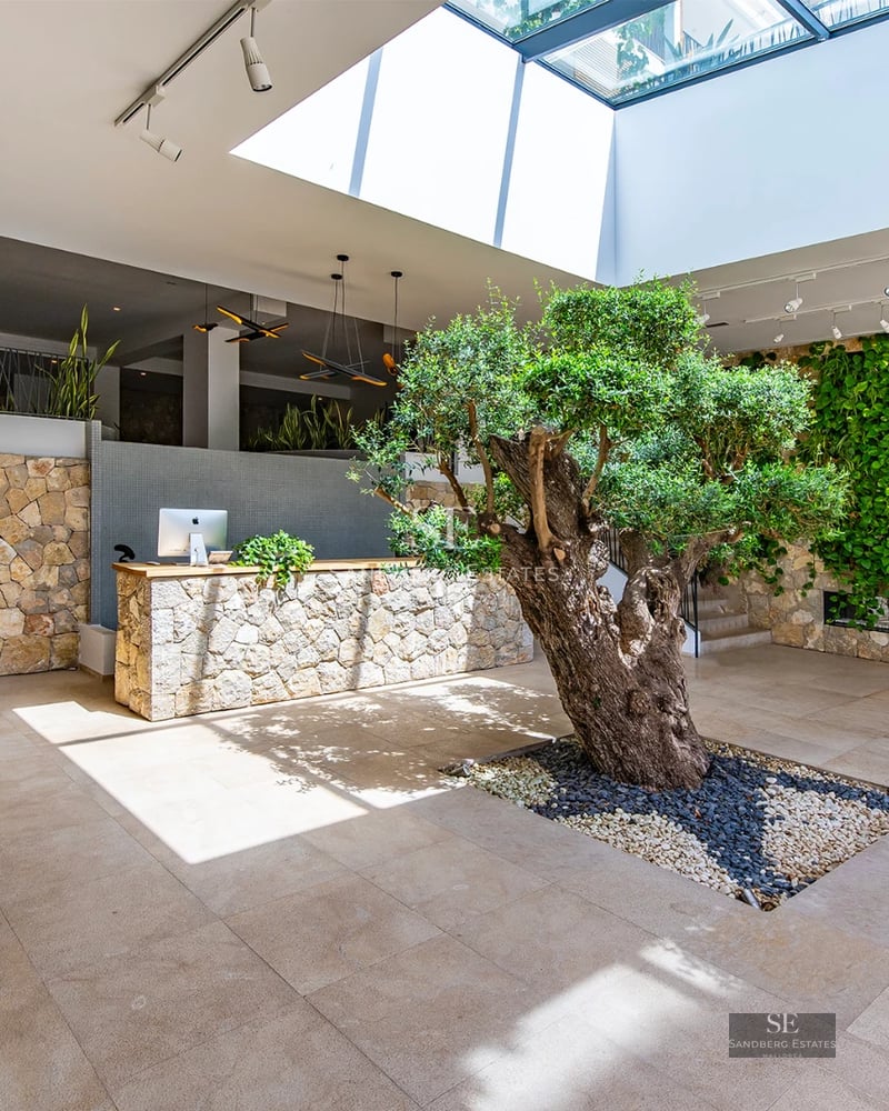 Exterior view of a modern villa with infinity pool. Minimalist design, large windows, and lush landscaping.