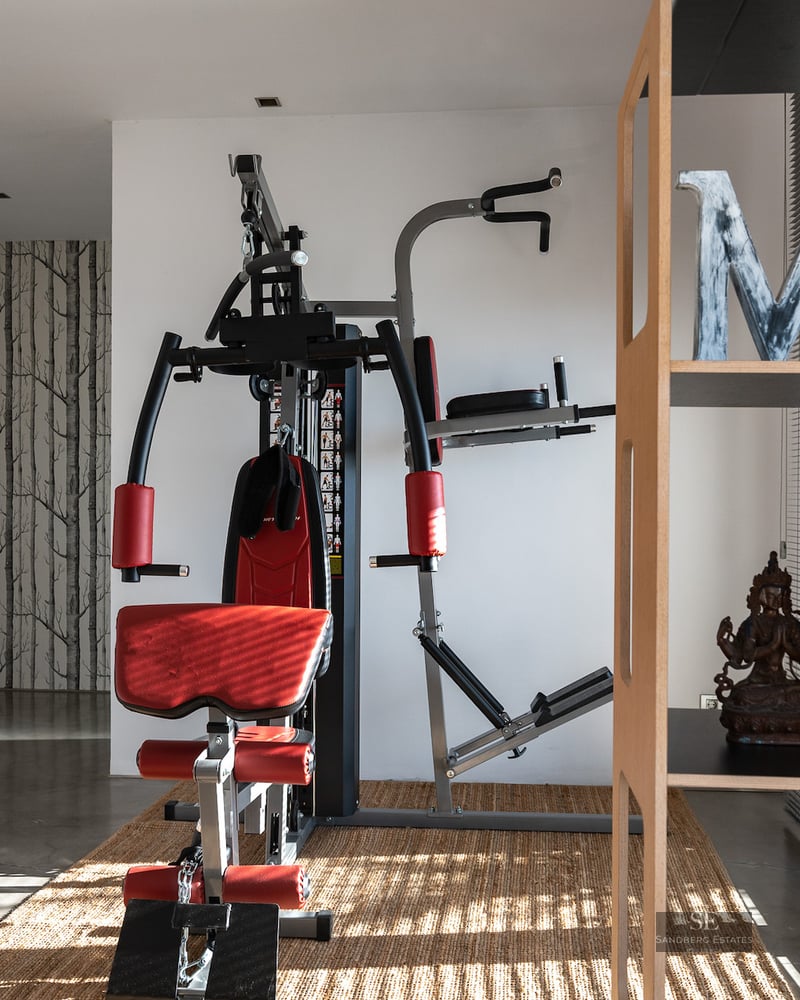 Home gym featuring a red weight machine, bookshelves, and polished concrete flooring.