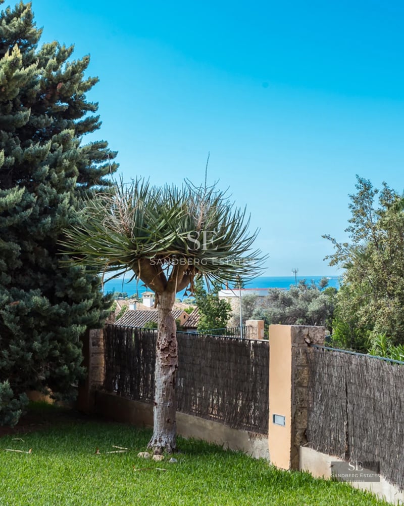 Pool view with sun loungers, palm trees and modern villa in the background. Clear blue sky and lush vegetation.