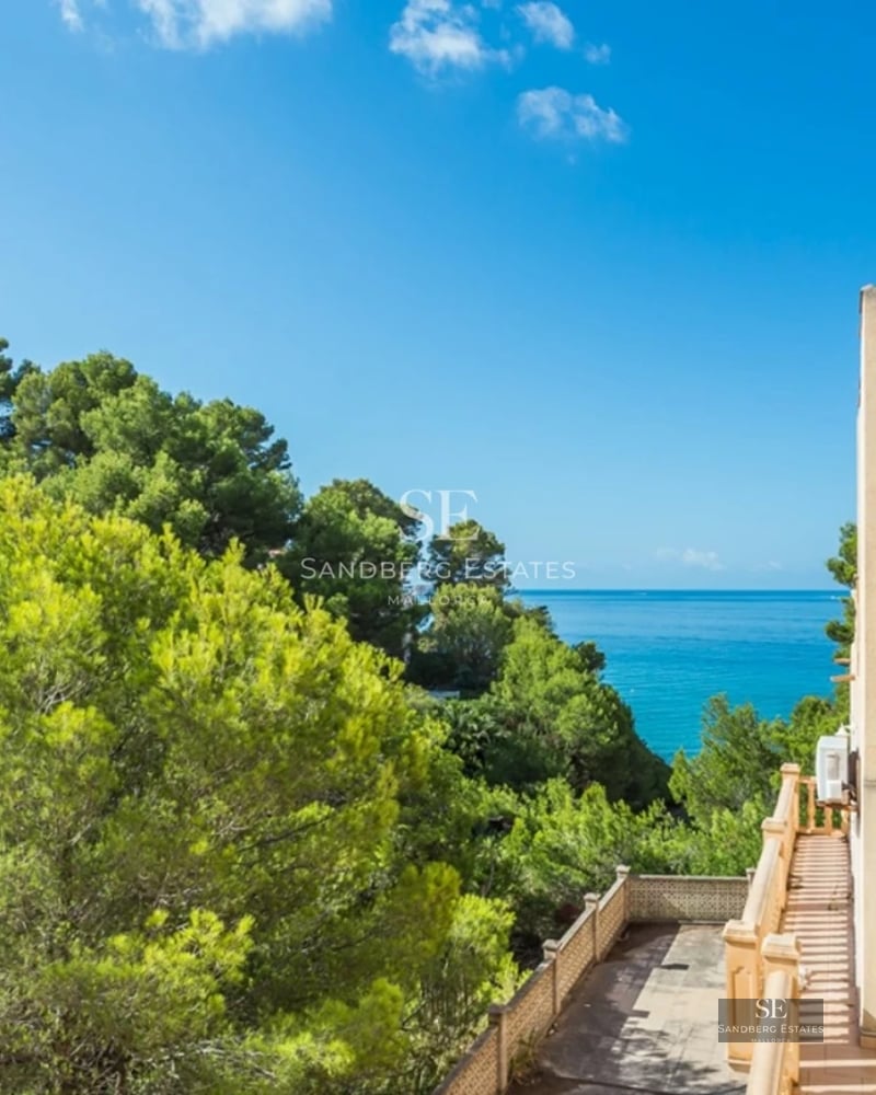 Spacious living room with large windows, reflecting pool and lush garden. Modern design, luxurious finishes and abundant natural light.