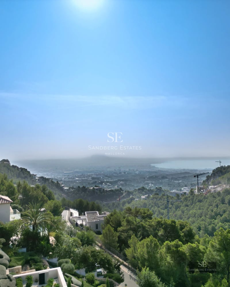 Exterior view of a luxurious modern house with an infinity pool, large windows, and lush landscaping.