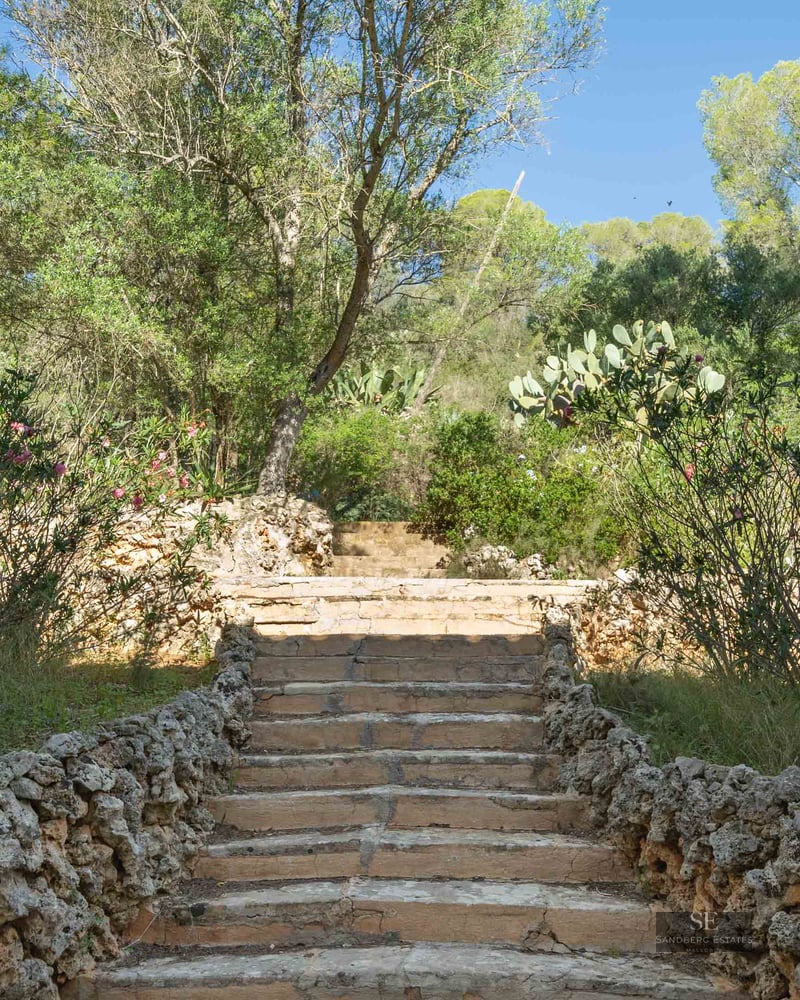 Natural stone steps flanked by dry stone walls and Mediterranean vegetation under a clear blue sky.