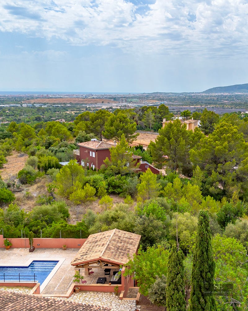 High-angle view of a blue swimming pool and pavilion surrounded by pine trees with the sea on the horizon.