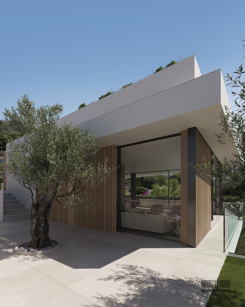 Modern white architecture featuring wood slats, large glass windows, and a mature olive tree on a stone terrace.