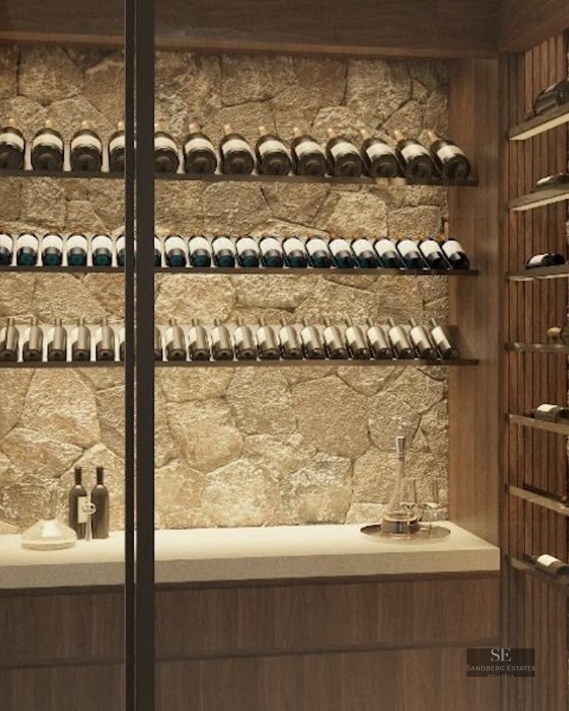 Modern wine cellar with glass doors, natural stone walls, and illuminated wine shelving.
