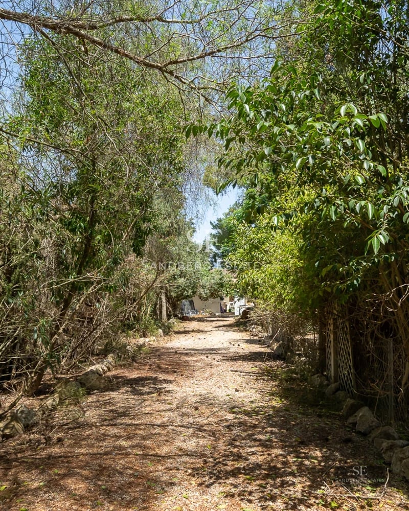 Aerial view of a modern villa featuring a pool, manicured garden and minimalist design. Natural light highlights the architecture.