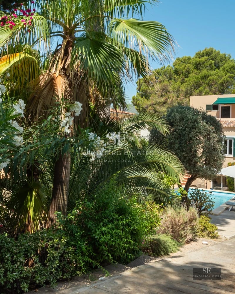 Image of villa featuring a pool, large windows, modern design, elegant furniture and lush greenery. Minimalist architecture.