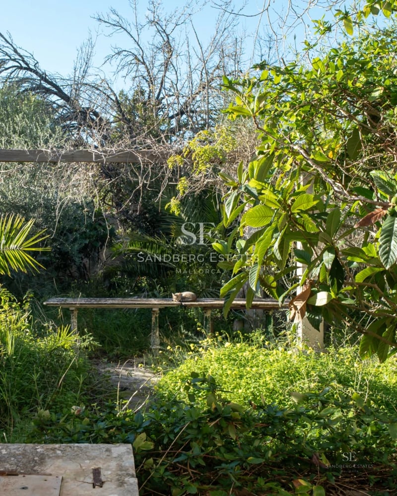 Exterior view of modern villa featuring infinity pool, expansive garden, and minimalist architecture. Sleek design and natural light.