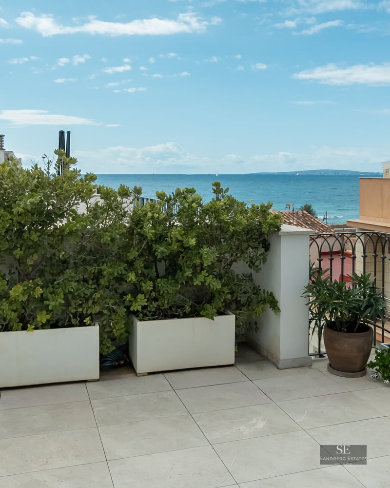 A sunny rooftop terrace with large white planters, green bushes, a wrought iron railing, and a view of the blue ocean.