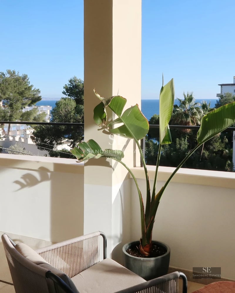 View of a modern villa with a pool, large windows, and lush greenery. Minimalist design with luxury touches.