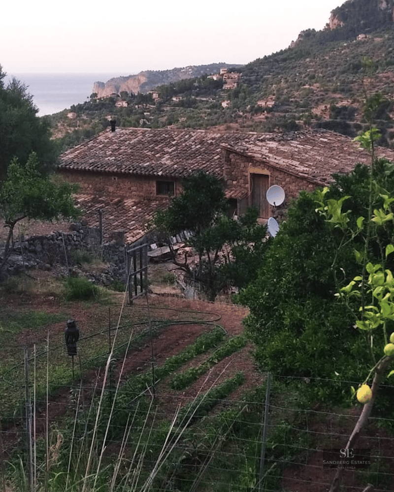 A traditional stone house with a terracotta roof surrounded by a vegetable garden and lemon trees overlooking the sea.