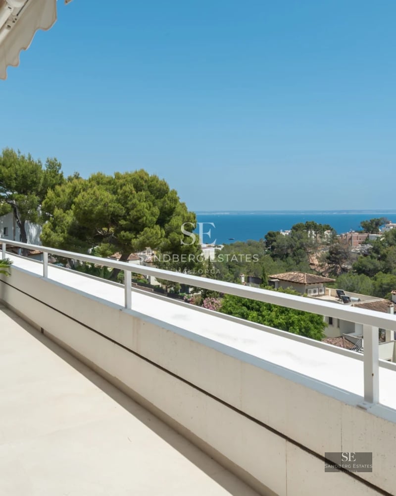 Exterior of a modern villa featuring an infinity pool, expansive windows, terrace, and lush garden. Contemporary design.
