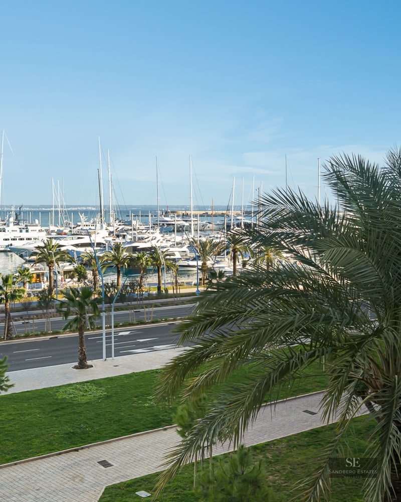 Elevated view of a harbor with luxury yachts, palm trees, and a coastal road under a clear blue sky.